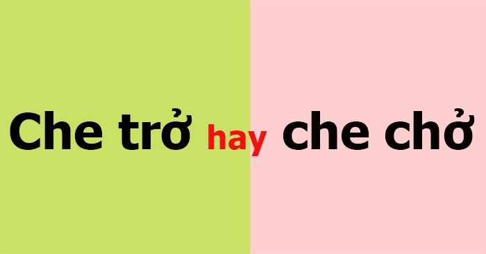 Cặp đôi đang che ô che chở cho nhau dưới trời mưa, thể hiện sự quan tâm và bảo vệ