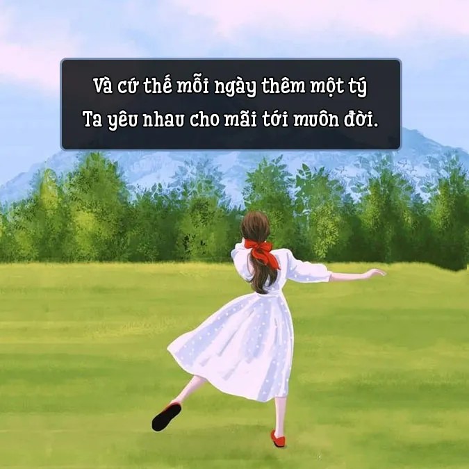 Những bông hoa dại nhỏ bé nở rộ bên đường, tràn đầy sức sống