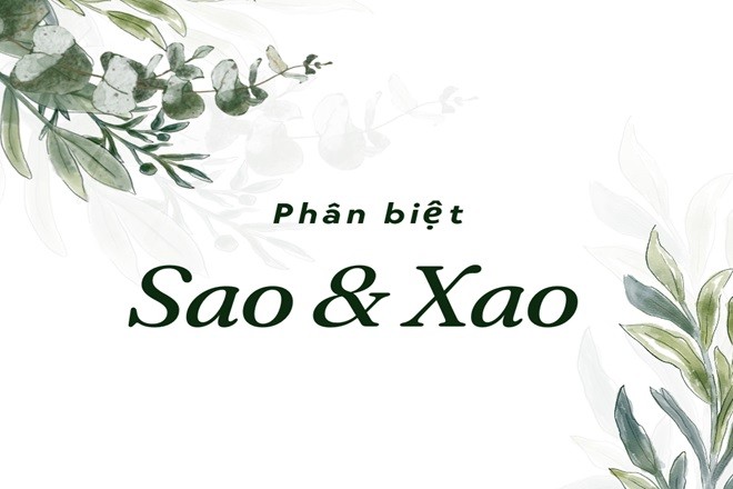 Sự khác biệt giữa "sao thuốc" và "xao thuốc" trong tiếng Việt