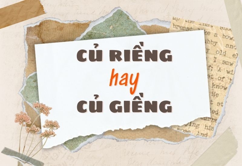 Củ riềng tươi với các đốt rõ ràng và màu sắc đặc trưng