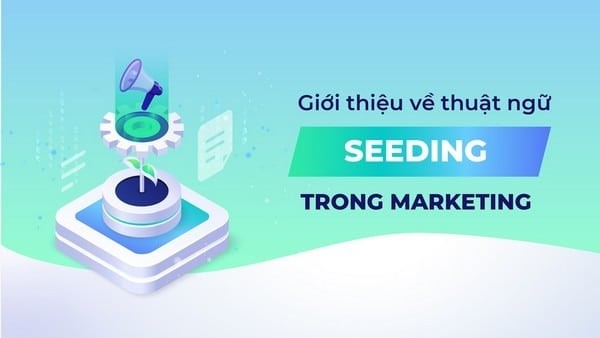 Định nghĩa cơ bản về Seeding Marketing trong kỷ nguyên số