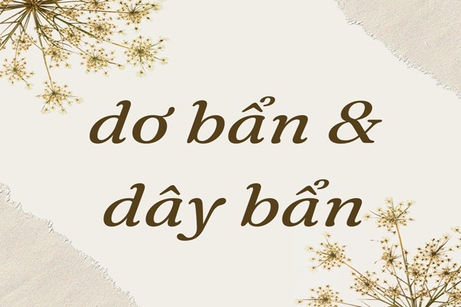 Nhiều người vẫn thường nhầm lẫn giữa dơ bẩn hay giơ bẩn