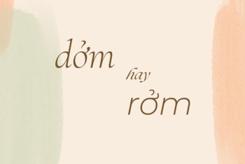 Sự khác biệt giữa "dởm" và "rởm" thường gặp trong giao tiếp hàng ngày
