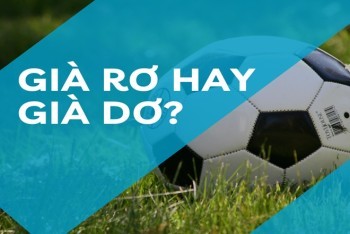 Già dơ hay già rơ mới là từ đúng chính tả cũng là một cặp từ gây bối rối