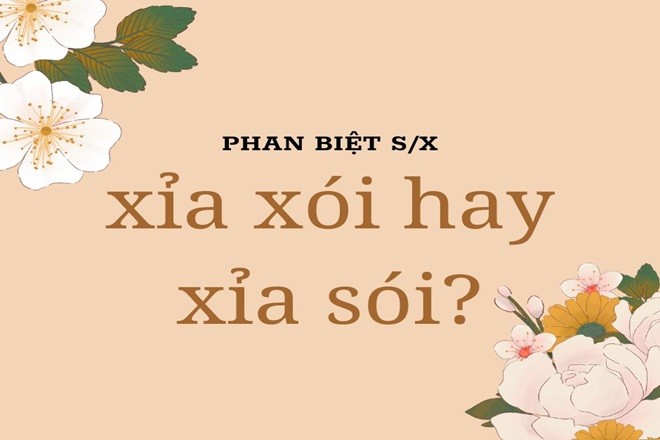 Một người phụ nữ lớn tuổi đang chỉ tay về phía trước, có thể đang tranh luận hoặc chỉ dẫn ai đó