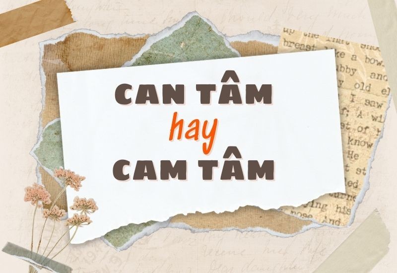 Minh họa sự nhầm lẫn giữa hai từ can tâm và cam tâm trong tiếng Việt