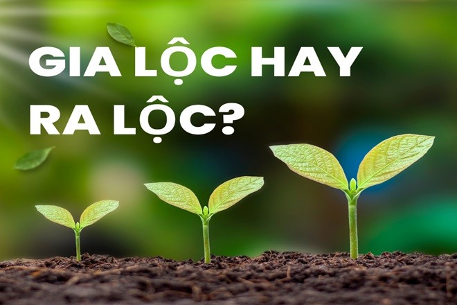 Hình ảnh minh họa sự nhầm lẫn giữa gia lộc và ra lộc trong tiếng Việt