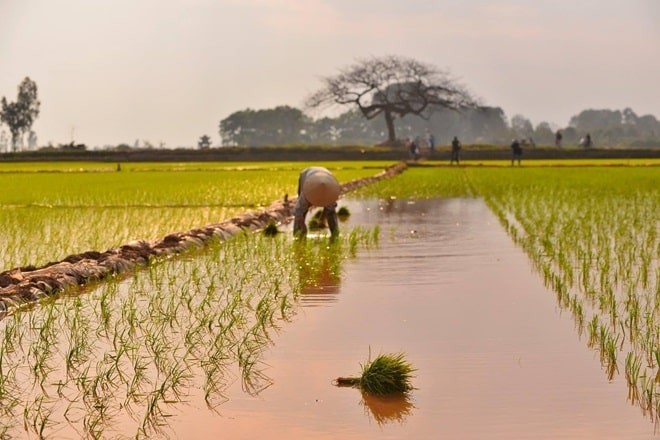 Một cái móc khóa móc vào một sợi dây thừng, minh họa cho hành động "móc ngoặc" đầy ẩn ý