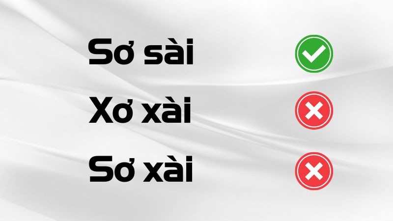 Minh họa sự nhầm lẫn giữa sơ xài, sơ sài và xơ xài