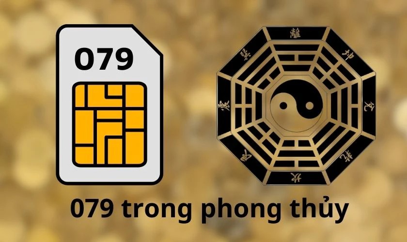 Ý nghĩa phong thủy đầu số mạng 079 là gì