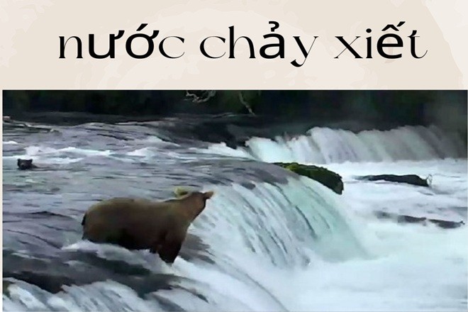 Nước chảy xiết cuồn cuộn đổ về, mang theo sức mạnh không thể ngăn cản của thiên nhiên