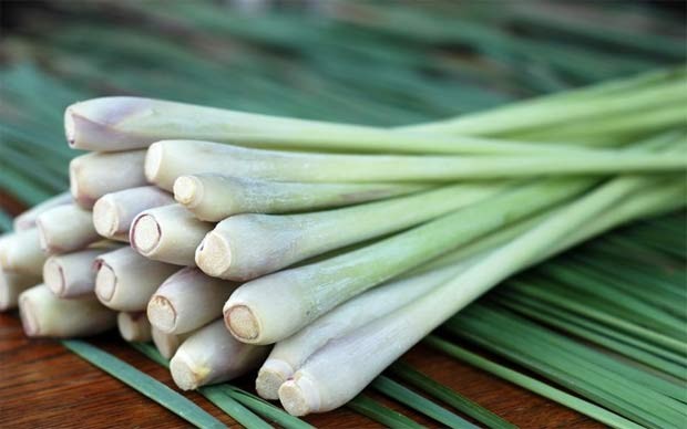 Sự nhầm lẫn giữa củ sả và củ xả trong chính tả tiếng Việt