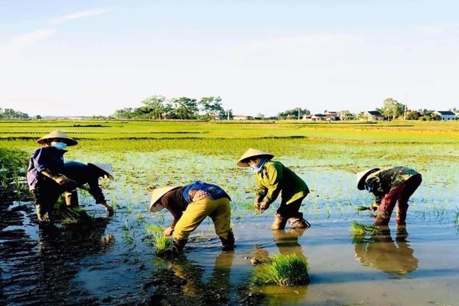 Phân biệt cách dùng day dứt và ray rứt trong các tình huống khác nhau