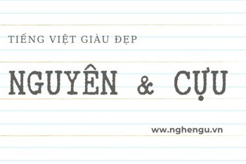 Một cuốn từ điển tiếng Việt mở ra, biểu tượng của sự học hỏi