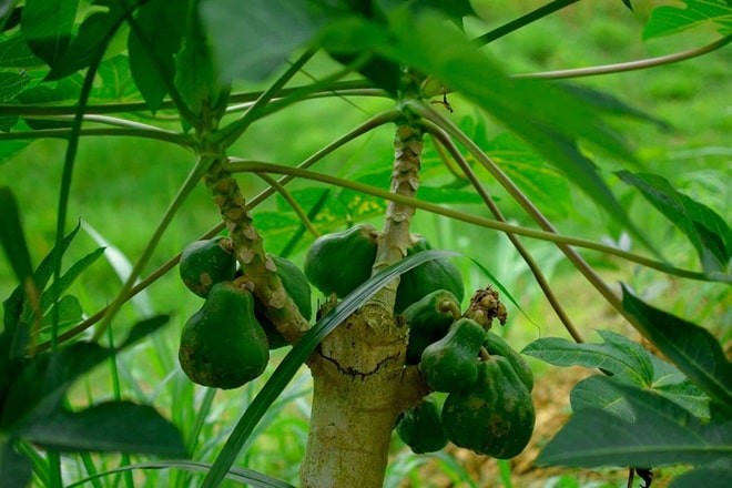 Cảm giác bứt rứt, không yên trong lòng khi đối diện với nỗi day dứt hay ray rứt