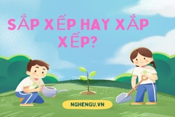 Sắp xếp hay xắp xếp – một ví dụ khác về sự nhầm lẫn chính tả tiếng Việt