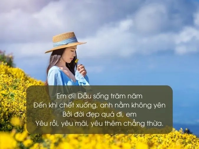 Thơ hay về triết lý cuộc sống giúp bạn tìm thấy sự bình yên
