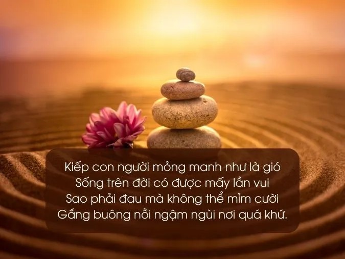 Con người như những cánh chim không ngừng vươn xa trên hành trình cuộc đời