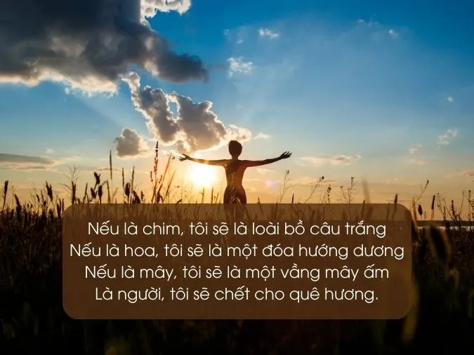 Dù cuộc đời có nhiều phong ba bão táp, hãy mạnh mẽ vượt qua