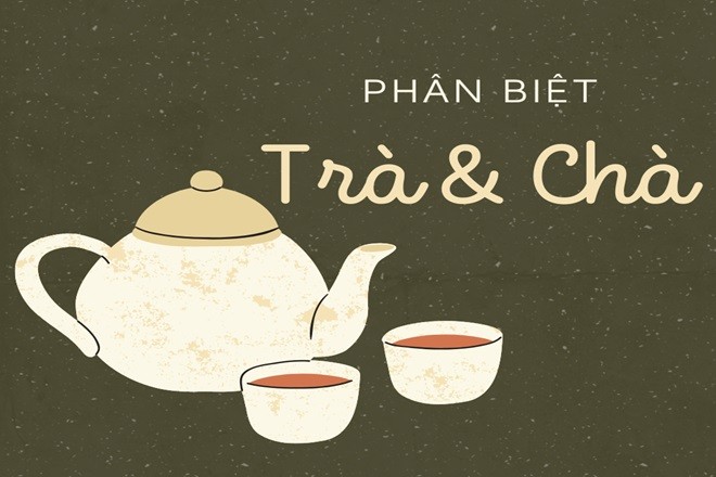 Hình ảnh minh họa cho sự nhầm lẫn giữa cách viết "trà trộn" và "chà trộn"