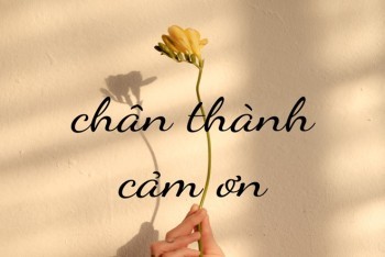 Hình ảnh minh họa cho sự nhầm lẫn giữa trân thành và chân thành